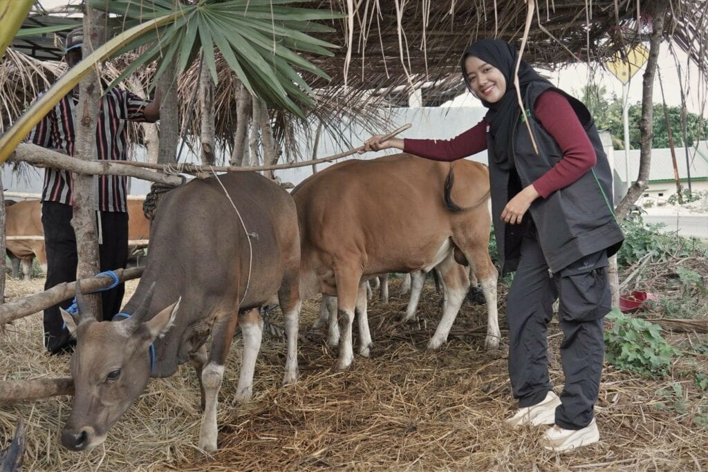 refleksi hidup ocha nugraha11 dompet dhuafa Refleksi Hidup Ocha Nugraha saat mengikuti proses QC hewan kurban bersama Dompet Dhuafa di NTT.