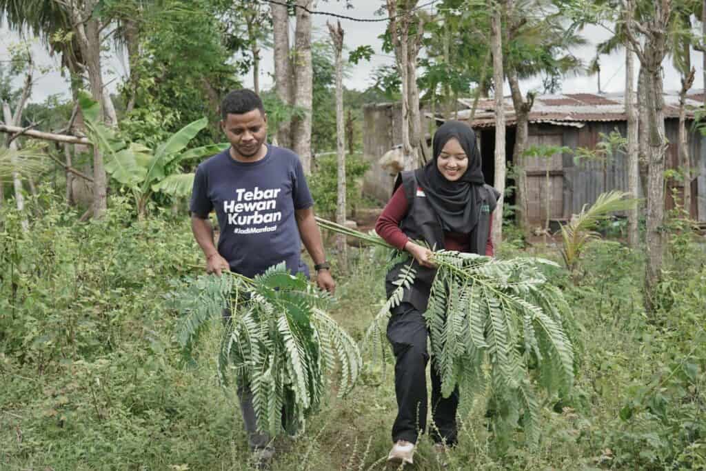refleksi hidup ocha nugraha19 dompet dhuafa Refleksi Hidup Ocha Nugraha saat mengikuti proses QC hewan kurban bersama Dompet Dhuafa di NTT.