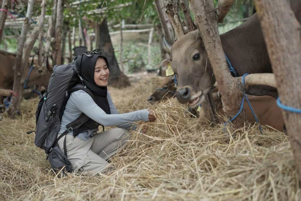refleksi hidup ocha nugraha3 dompet dhuafa Refleksi Hidup Ocha Nugraha saat mengikuti proses QC hewan kurban bersama Dompet Dhuafa di NTT.