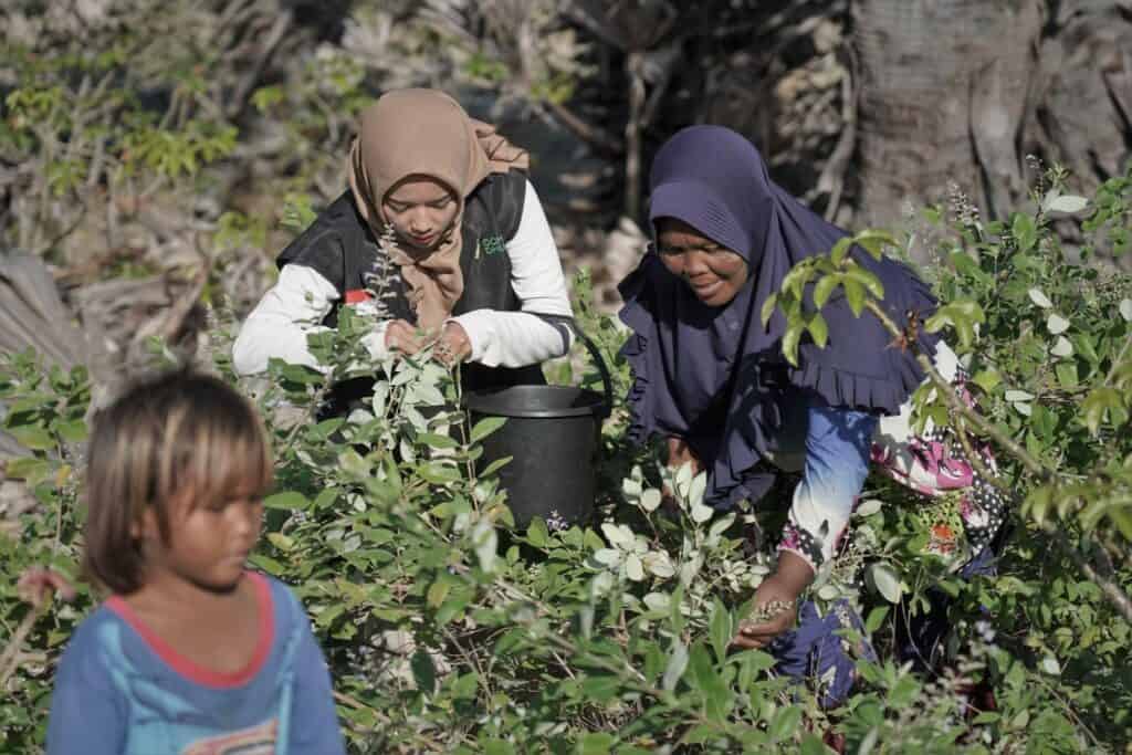 refleksi hidup ocha nugraha7 dompet dhuafa Refleksi Hidup Ocha Nugraha saat mengikuti proses QC hewan kurban bersama Dompet Dhuafa di NTT.