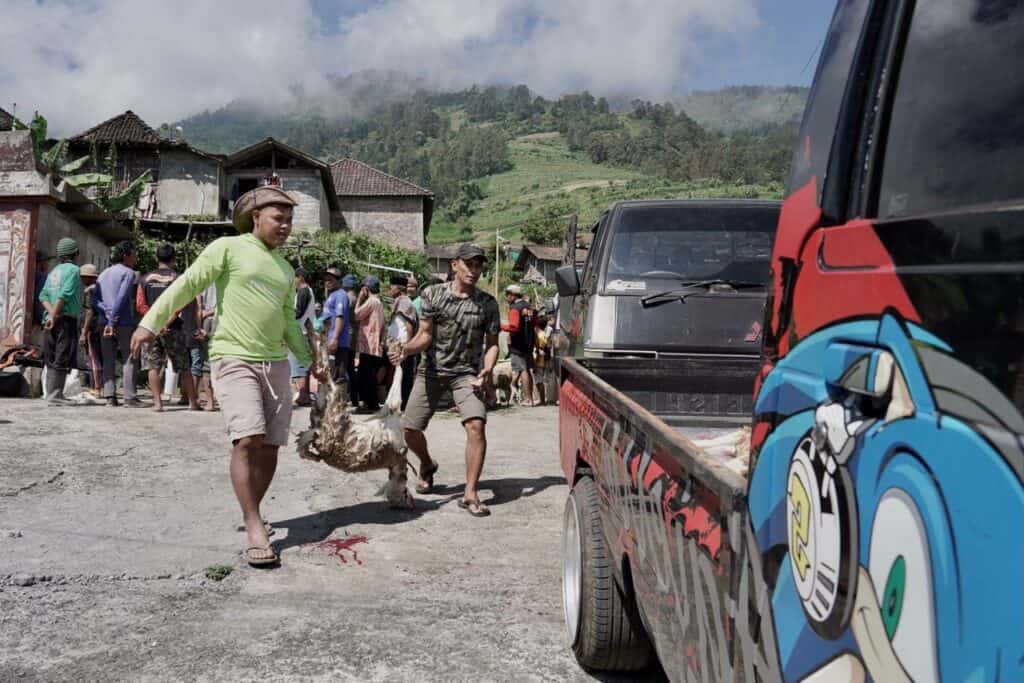 tebar hewan kurban di kaki gunung merbabu 8 dompet dhuafa Warga berbondong-bondong mengantre dan mengirimkan hewan kurban ke 21 dusun di Desa Batur.