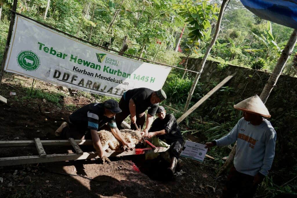 Penyembelihan hewan kurban di Dusun Kepatran, Desa Banjarsari, Kecamatan Grabag, Kabupaten Magelang, pada hari tasyrik kedua, Rabu (19/06/2024).