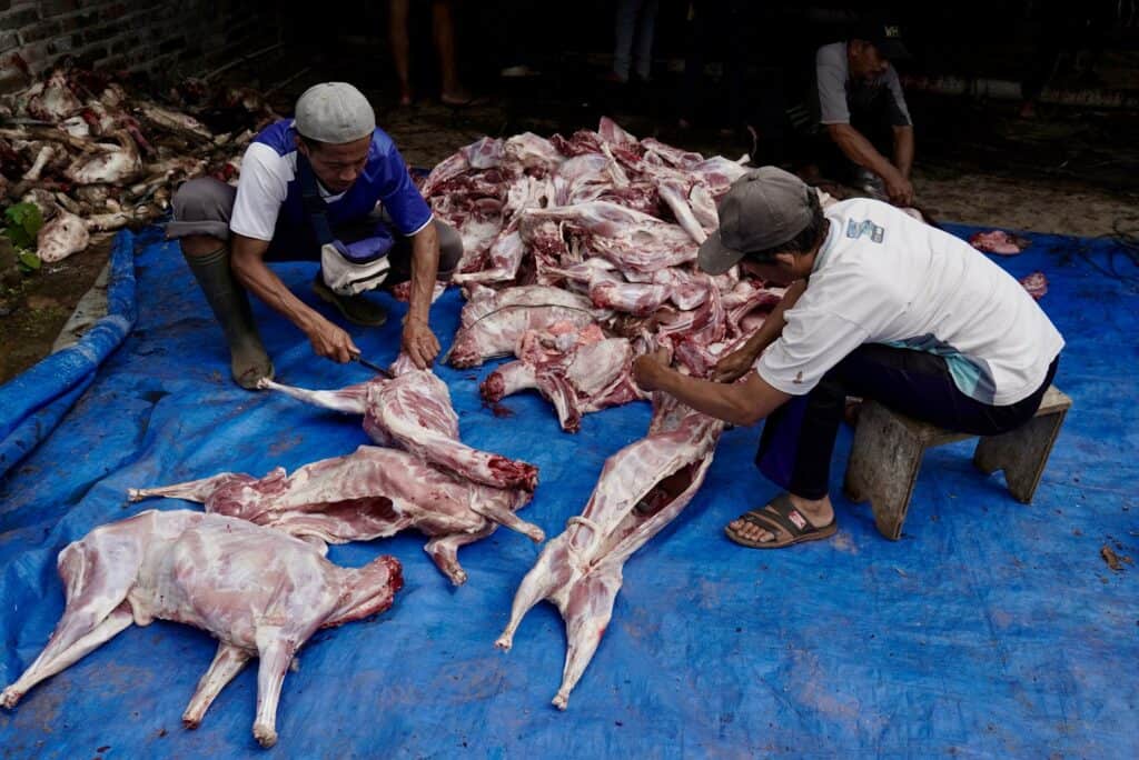 Penyembelihan hewan kurban di Dusun Kepatran, Desa Banjarsari, Kecamatan Grabag, Kabupaten Magelang, pada hari tasyrik kedua, Rabu (19/06/2024).
