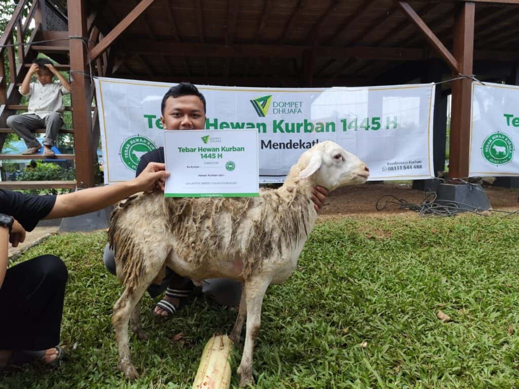 tebar hewan kurban di zona madina 2 dompet dhuafa