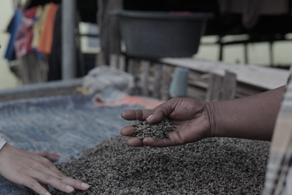 tebar hewan kurban di rote ndao timur ntt 9 dompet dhuafa Potret tanaman Legundi yang sehari-hari dikumpulkan oleh Ibu Arti.