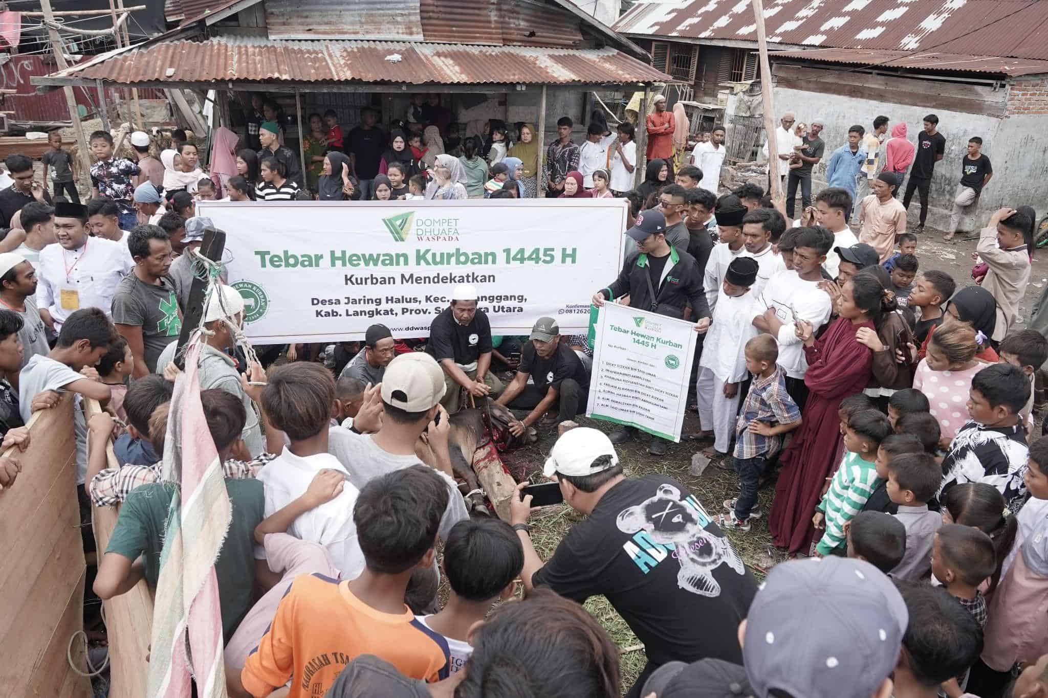 tebar hewan kurban di sumatra utara1 dompet dhuafa