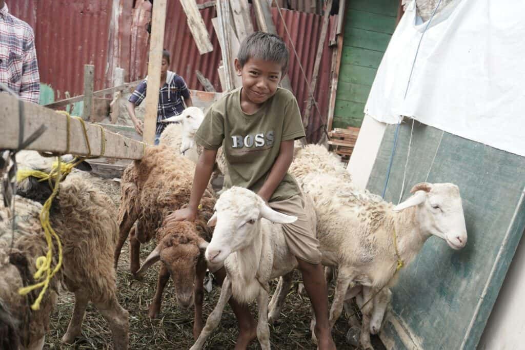 tebar hewan kurban di sumatra utara2 dompet dhuafa Keseruan anak-anak Jaring Halus kedatangan domba kurban di desanya.