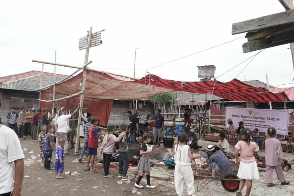tebar hewan kurban di sumatra utara3 dompet dhuafa Antusias warga Jaring Halus merayakan Iduladha dengan memotong 13 domba dan 1 sapi dari para donatur Dompet Dhuafa.