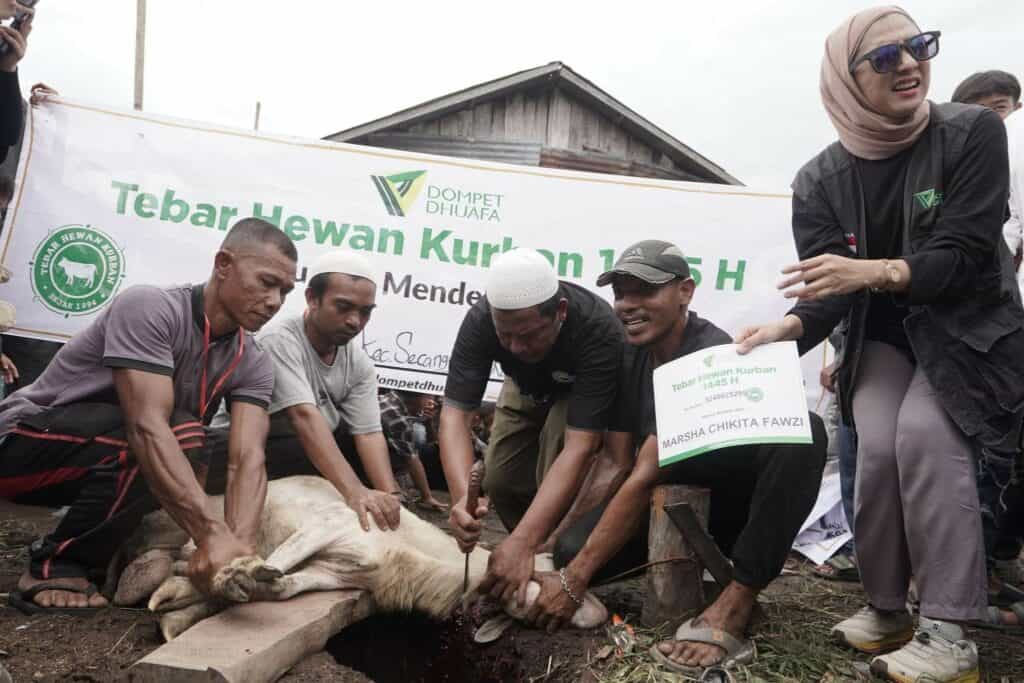 tebar hewan kurban di sumatra utara4 dompet dhuafa Chiki Fawzi menyaksikan sendiri hewan kurban miliknya dipotong dan dibagikan kepada warga Desaq Jaring Halus.