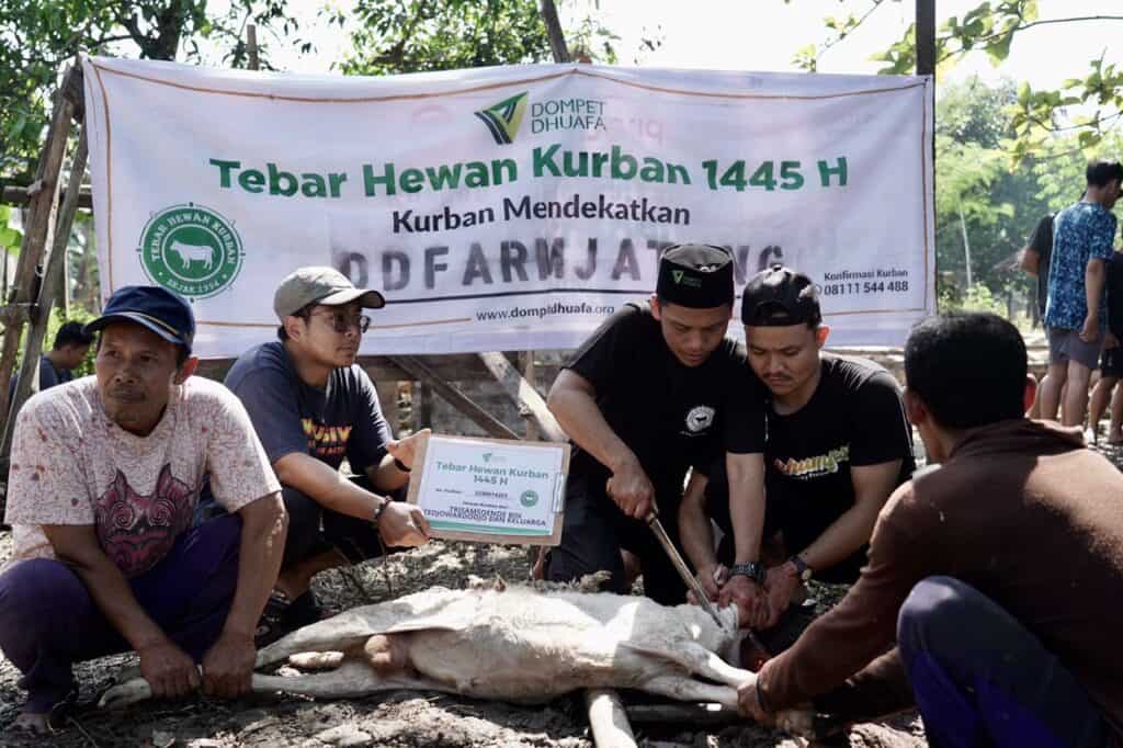 whatsapp image 20240618 at 190602 1 dompet dhuafa Iduladha 1445 H, Dompet Dhuafa Tebar Pahala Kurban Kambing di Desa Padas, Kedungjati, Grobogan, Senin (17/06/2024).