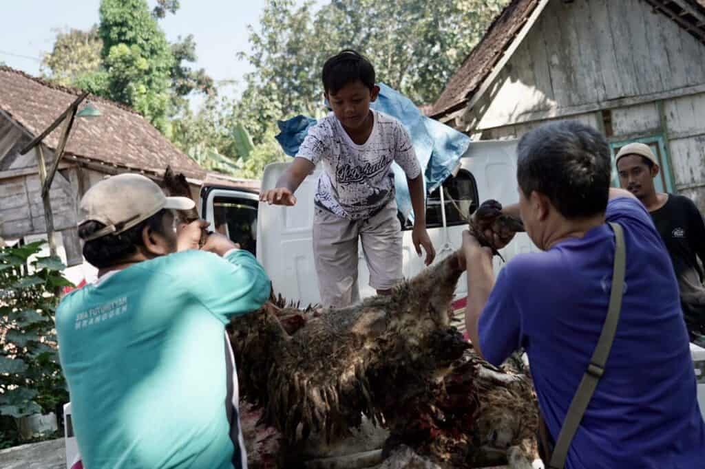 whatsapp image 20240618 at 190603 1 dompet dhuafa Kebersamaan warga Desa Padas saat pendistribusian hewan kurban yang telah tersembelih dalam pelaksanaan THK 2024 di Hari Iduladha 1445 Hijriah, di Desa Padas, Kedungjati, Grobogan, Senin (17/06/2024).