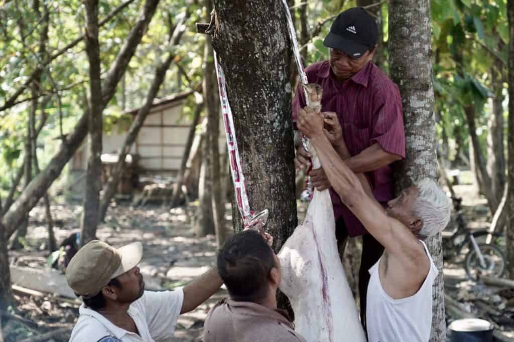 whatsapp image 20240618 at 190605 dompet dhuafa Kebersamaan warga Desa Padas saat pemotongan hewan kurban yang telah tersembelih dalam pelaksanaan THK 2024 di Hari Iduladha 1445 Hijriah, di Desa Padas, Kedungjati, Grobogan, Senin (17/06/2024).