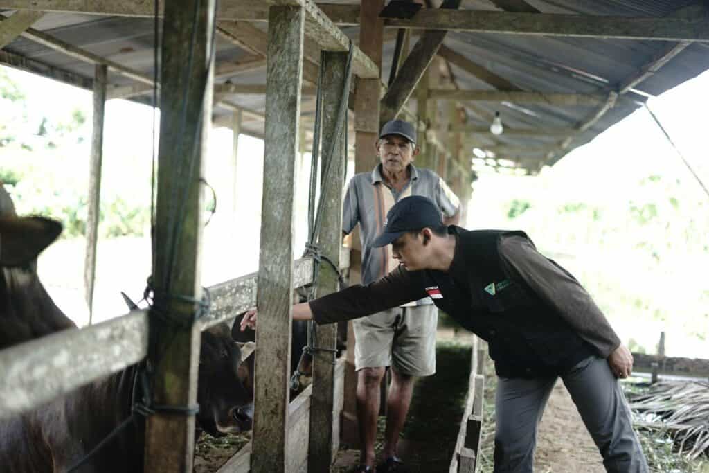 tebar hewan kurban di sorong5 dompet dhuafa