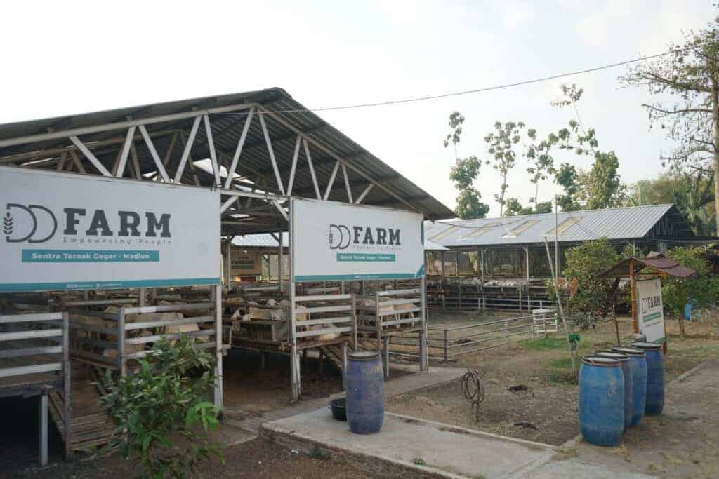 kurbanviadompetdhuafaberdayakanpetanilokal21024x683 dompet dhuafa