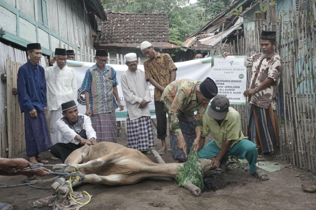 nurdinkurbandiiduladha21024x683 dompet dhuafa