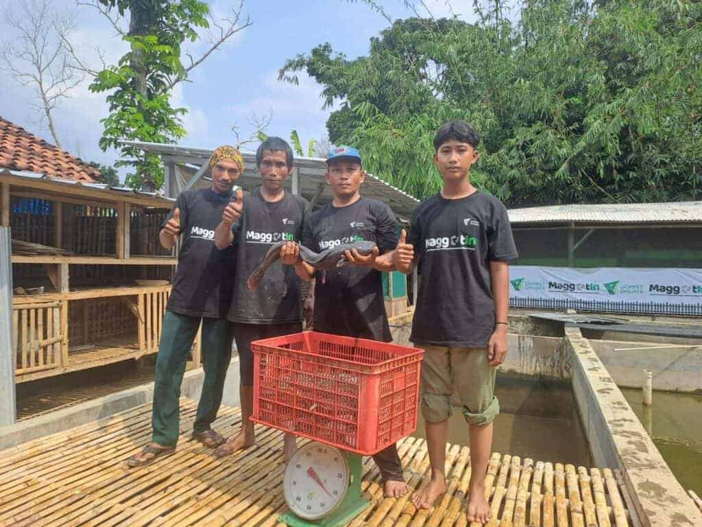 panendikandangmaggotinlampung21024x768 dompet dhuafa