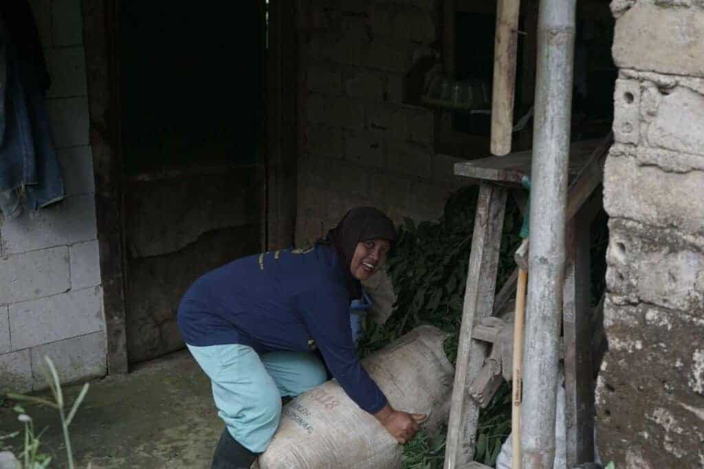 peternaksukabumiditebarhewankurban41024x683 dompet dhuafa