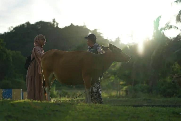 tebarhewankurbandihalmahera4 dompet dhuafa