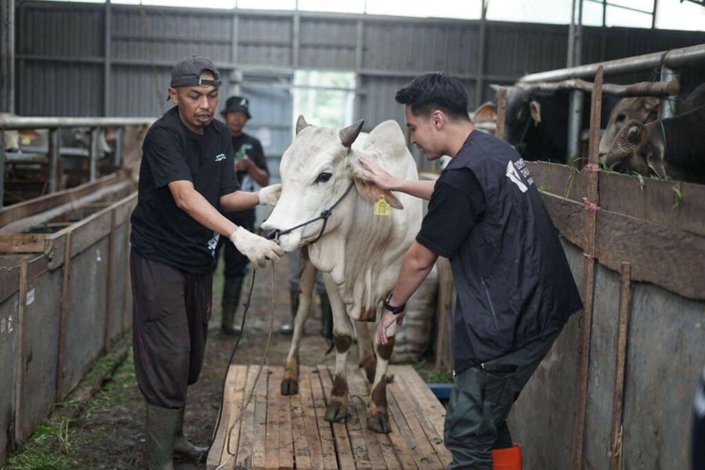 aimanrickytilikprosesqcddfarm41024x683 dompet dhuafa