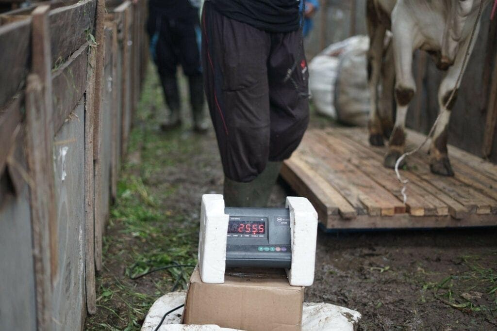 aimanrickytilikprosesqcddfarm51024x683 dompet dhuafa
