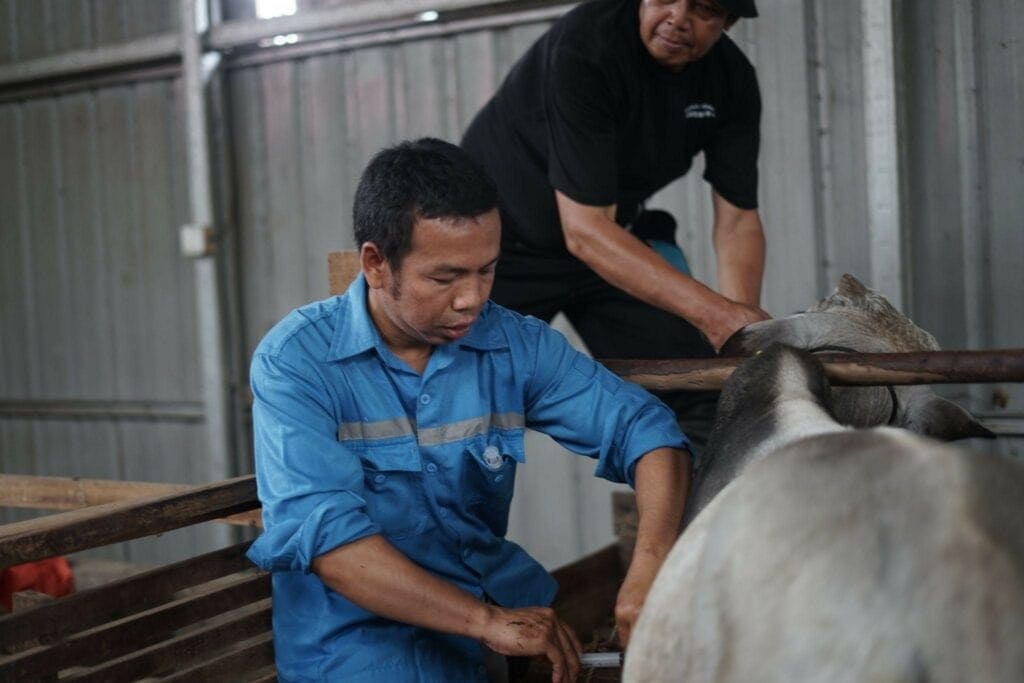 aimanrickytilikprosesqcddfarm71024x683 dompet dhuafa