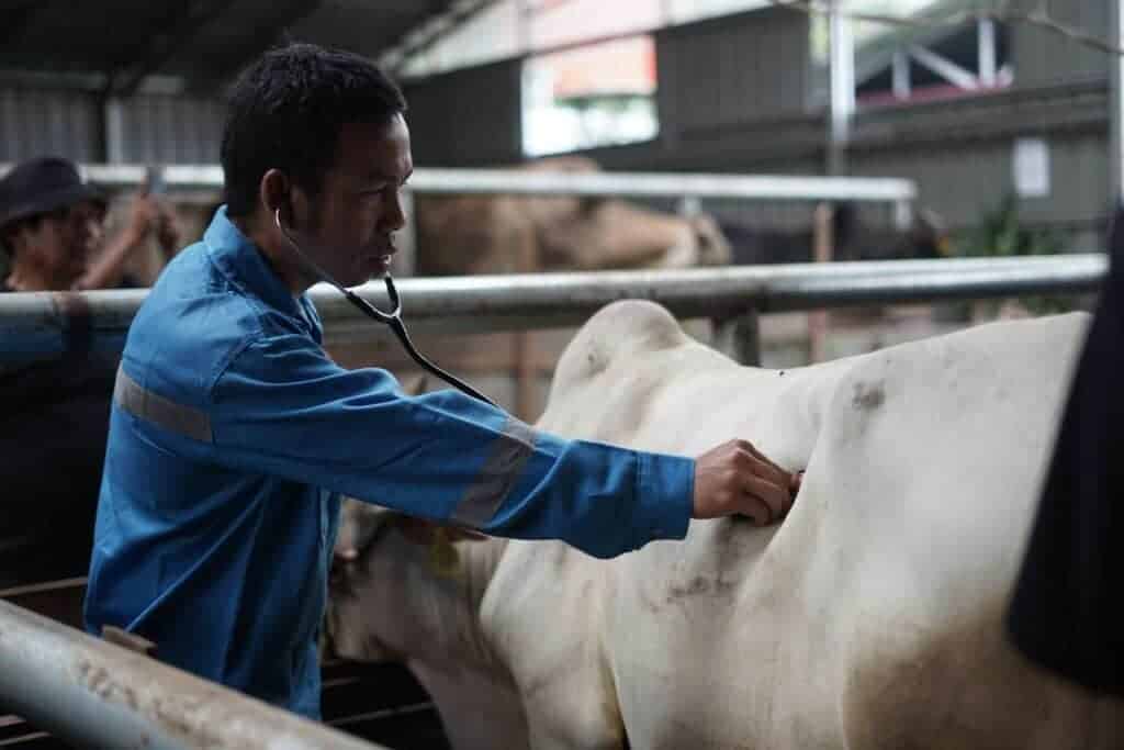 aimanrickytilikprosesqcddfarm91024x683 dompet dhuafa