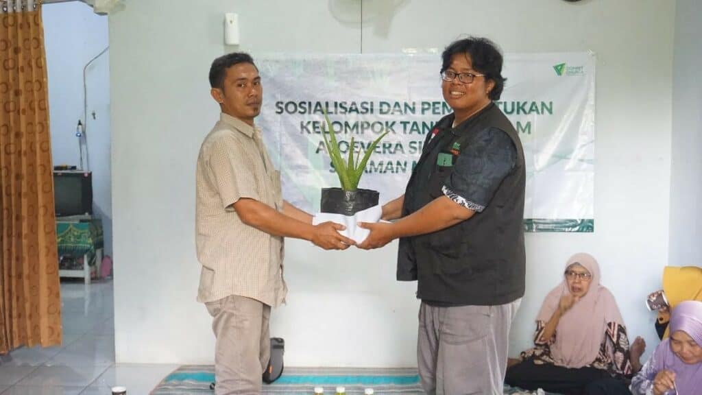 aloe vera3 dompet dhuafa Penyerahan simbolik tanaman Aloe Vera Oleh Imam, Supervisor program ekonomi Dompet Dhuafa Yogyakarta, kepada Sudrajat selaku local hero petani Aloevera Desa Sojomerto, Salaman, Magelang.