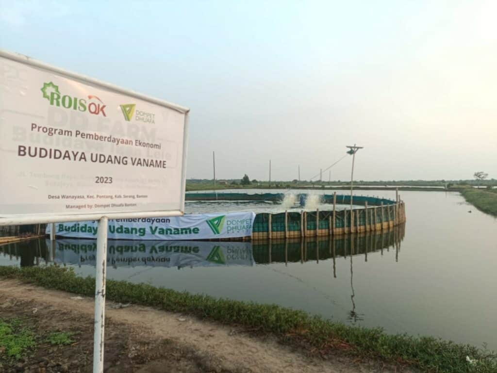 budidayaudangvaname21024x769 dompet dhuafa