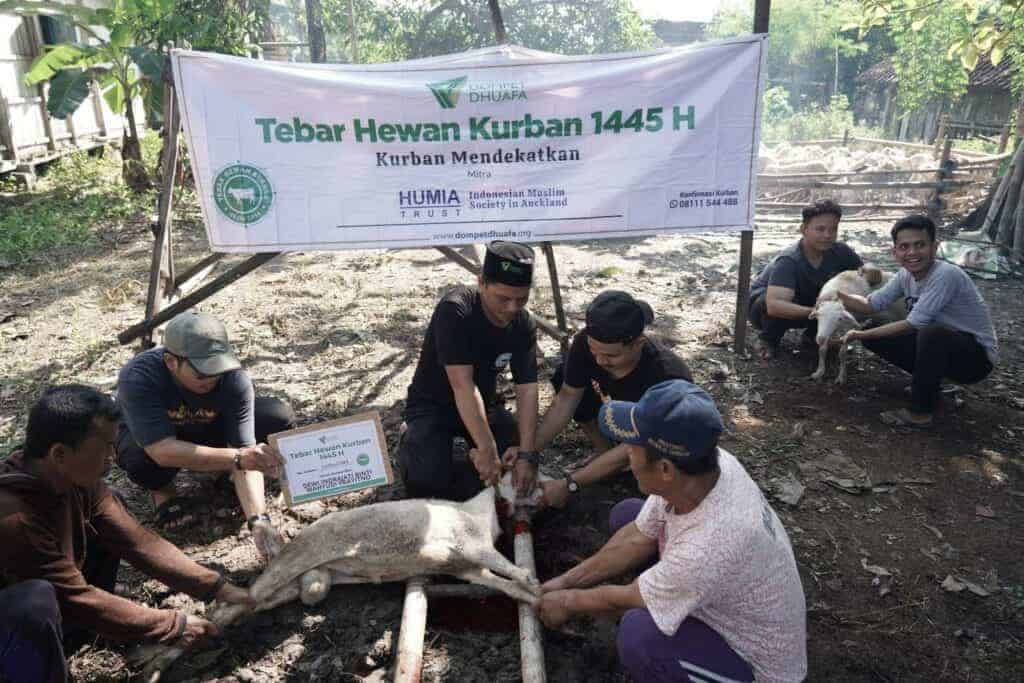 kurbandariauckland11024x683 dompet dhuafa
