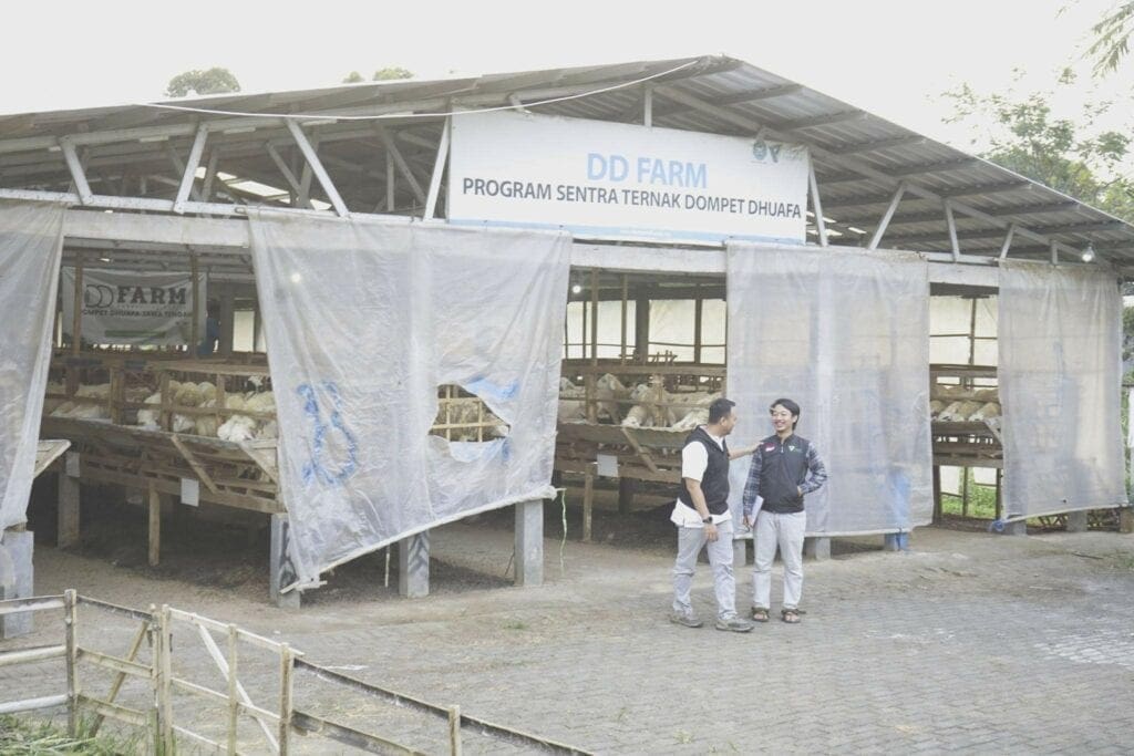 qcpastikanhewankurbansesuaistandar21024x683 dompet dhuafa