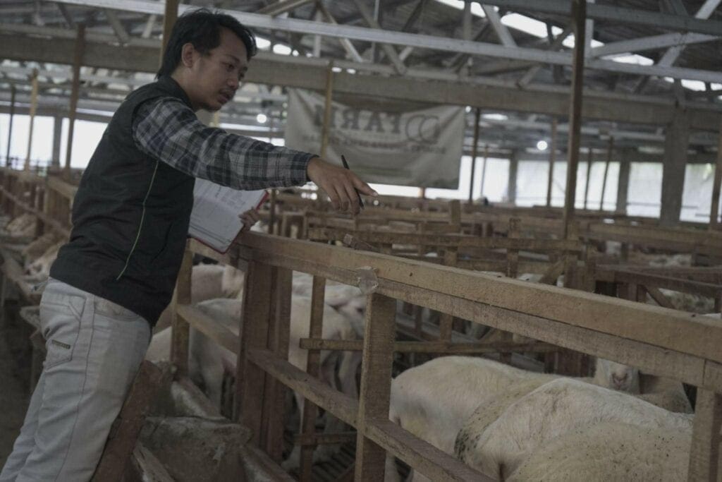 qcpastikanhewankurbansesuaistandar71024x683 dompet dhuafa