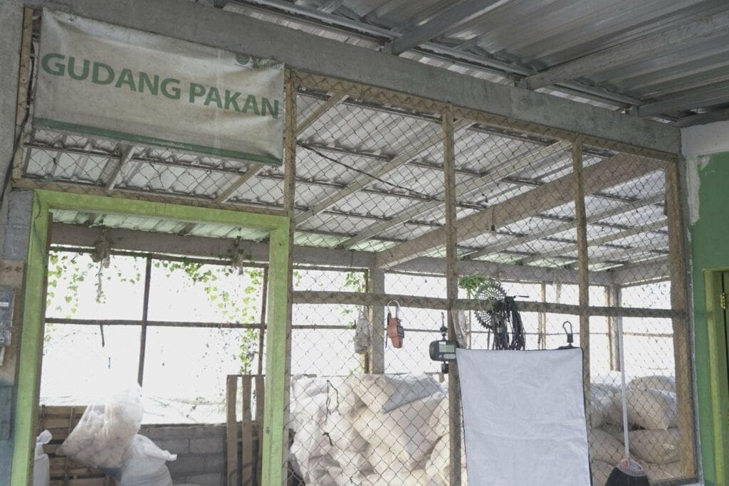 qcpastikanhewankurbansesuaistandar81024x683 dompet dhuafa