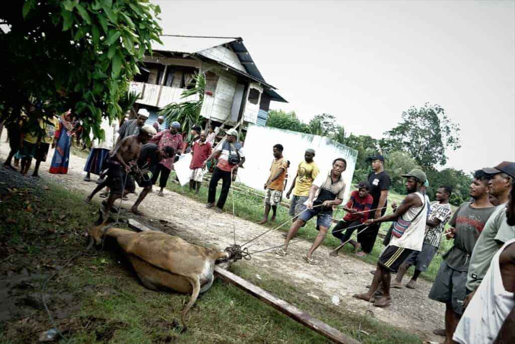 roisojkmalukupapualampung31024x683 dompet dhuafa