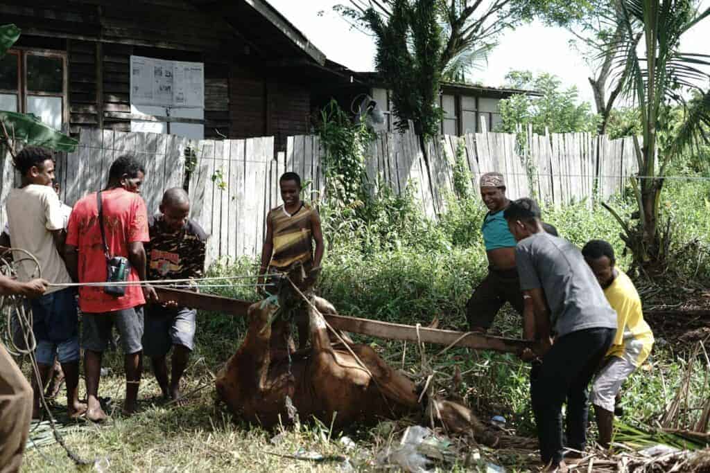 roisojkmalukupapualampung41024x683 dompet dhuafa