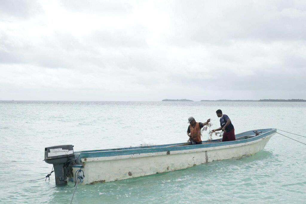 tebarhewankurbandipulaukei31024x683 dompet dhuafa
