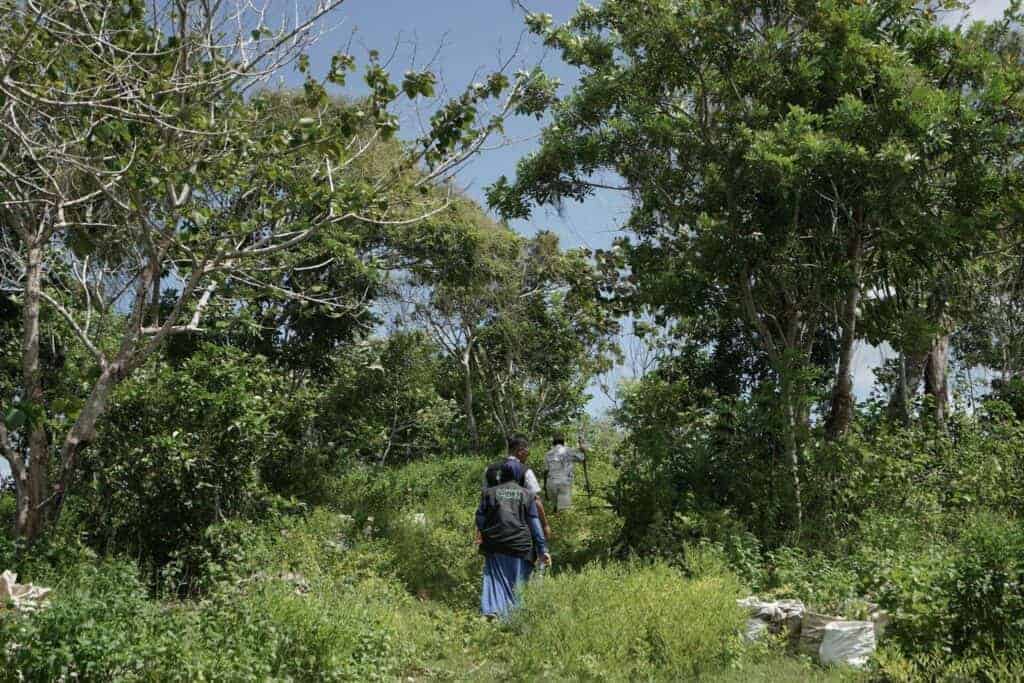 tebarhewankurbandipulaukei81024x683 dompet dhuafa