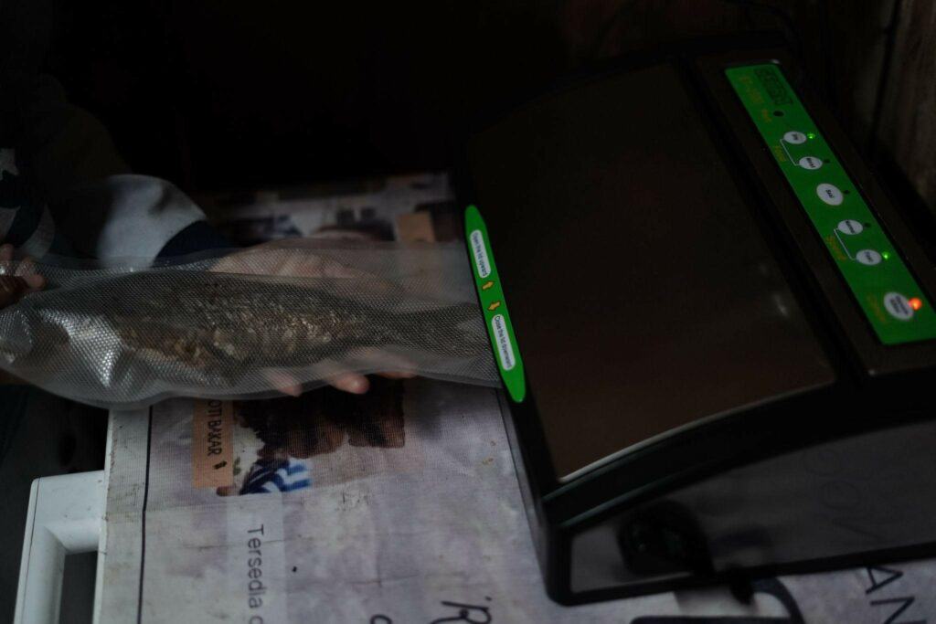 sale ikan6 dompet dhuafa Proses vakum sale ikan untuk dikemas.