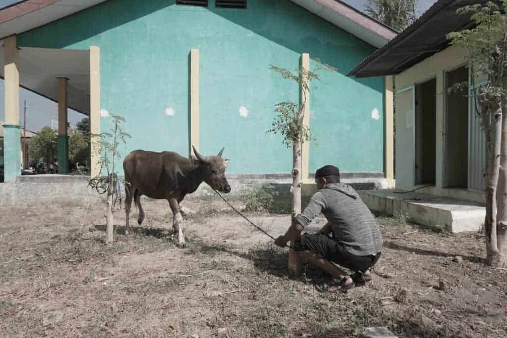 kurbandancitapendidikantinggidintt11024x682 dompet dhuafa