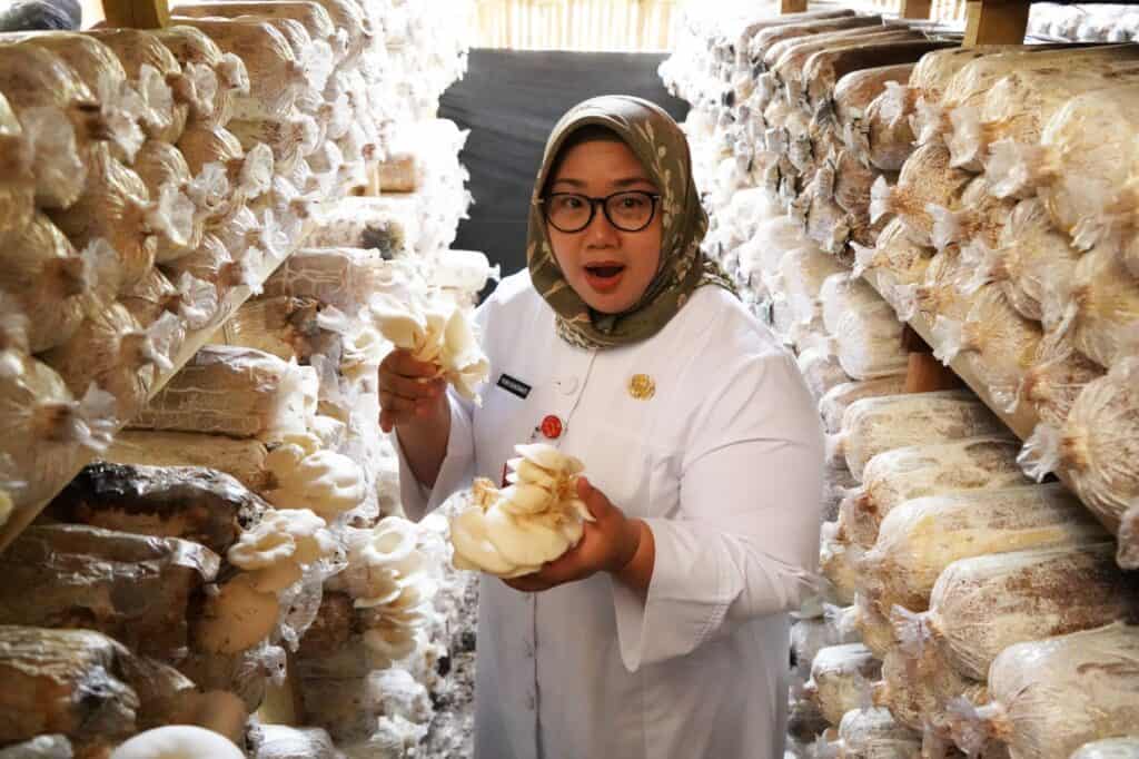 pemberdayaan masyarakat jateng 4 dompet dhuafa Kusdinar Untung Yuni Sukowati selaku Bupati Sragen menilik Program Pemberdayaan Sentra Jamur Tiram di Dukuh Ledok, Desa Mojorejo, Kecamatan Kedawung.