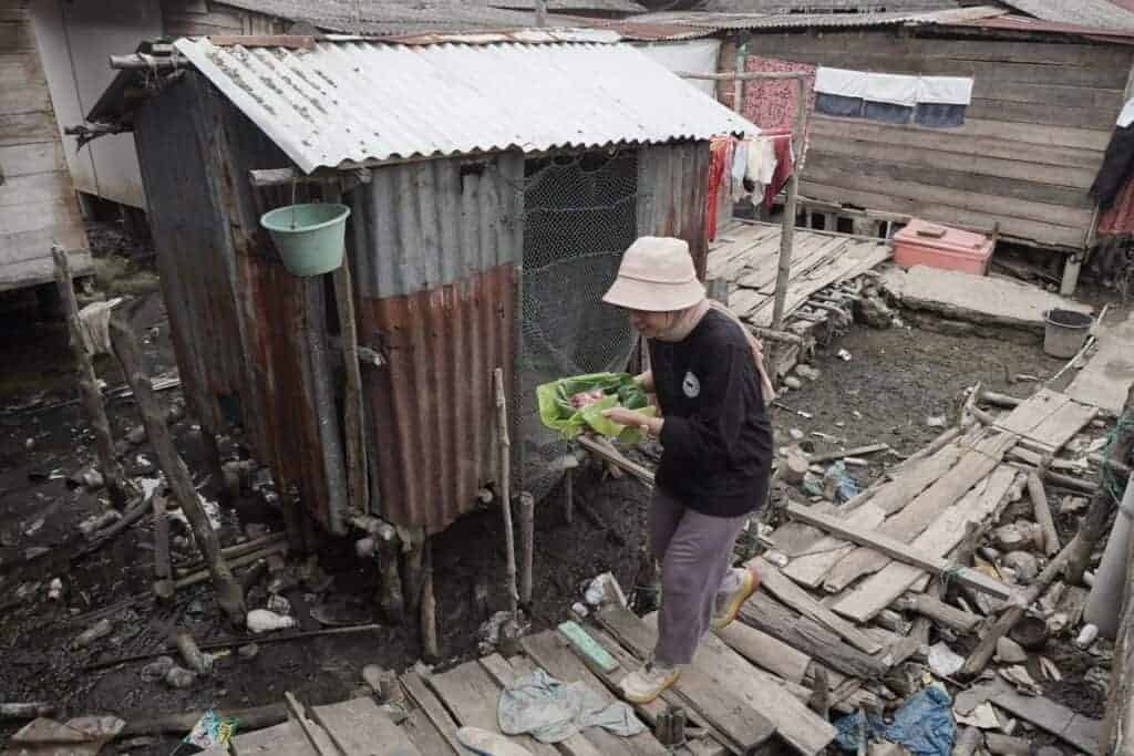 tebarhewankurbandisumatrautara511024x683 dompet dhuafa
