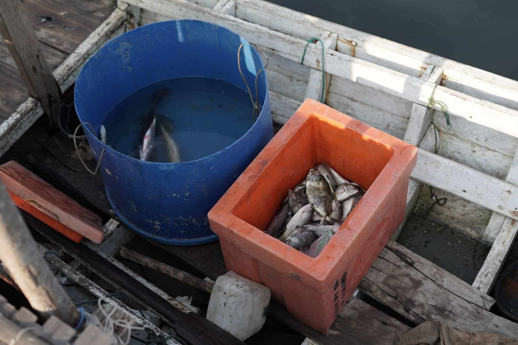 operasi katarak gratis5 dompet dhuafa Hasil tangkapan ikan Sudirman suatu hari.