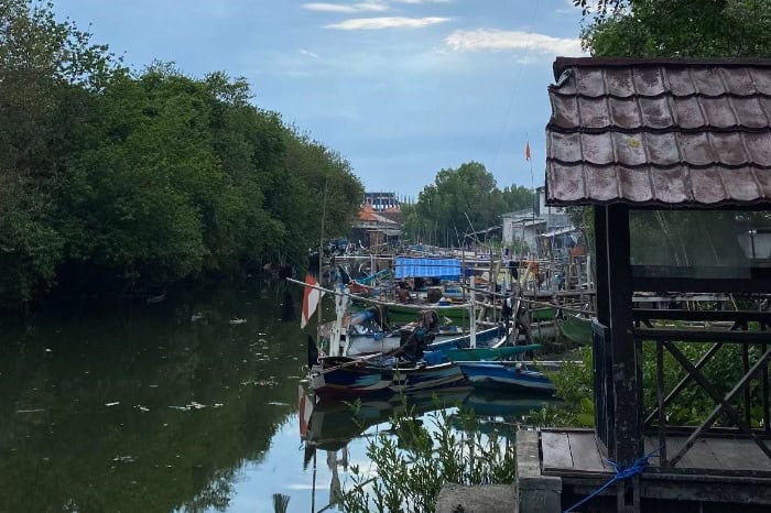 fotojet dompet dhuafa Kondisi Kampung Nelayan, Kawasan Mangrove, Kec. Gunung Anyar, Surabaya pada Kamis (21/11/2024).
