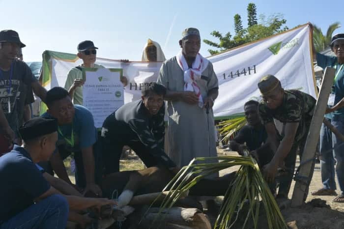 thkdompetdhuafadipulaumessah6 dompet dhuafa