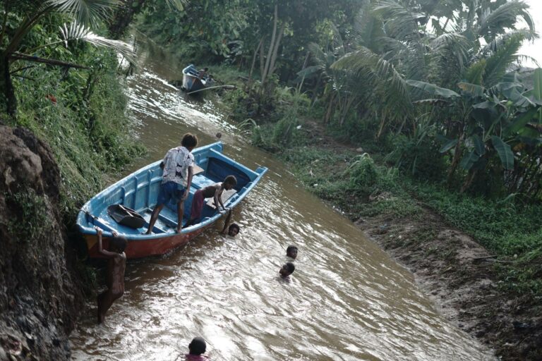 tebarhewankurbandisorong10768x512 dompet dhuafa