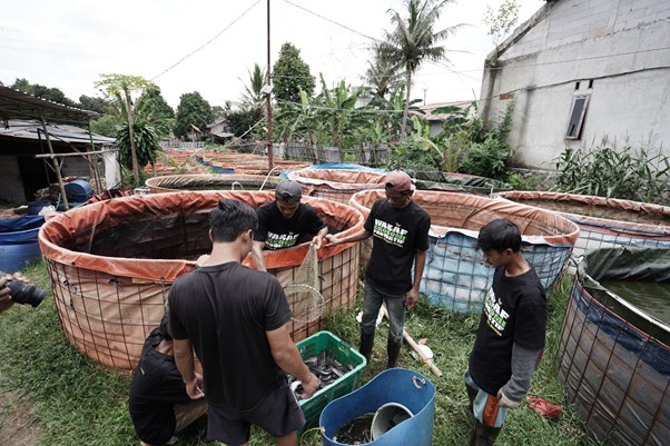 panenlelehasilwakaf3 dompet dhuafa