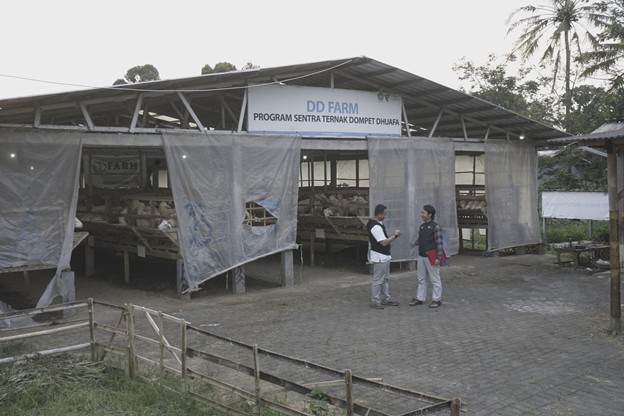 tebar hewan kurban5 dompet dhuafa Distribusi hewan kurban pada THK Dompet Dhuafa mengalami prosesi yang panjang. Mulai dari Quality Control di DD Farm Dompet Dhuafa hingga asesmen target penerima manfaat atau mustahik.