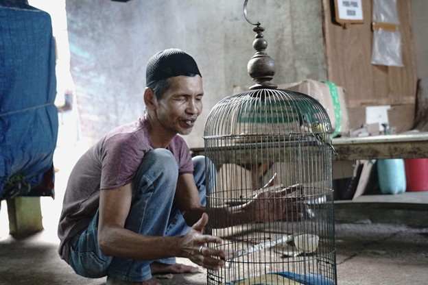 Keseharian Hadi selain bekerja yakni merawat hewan peliharaan yaitu Burung Cipoh.