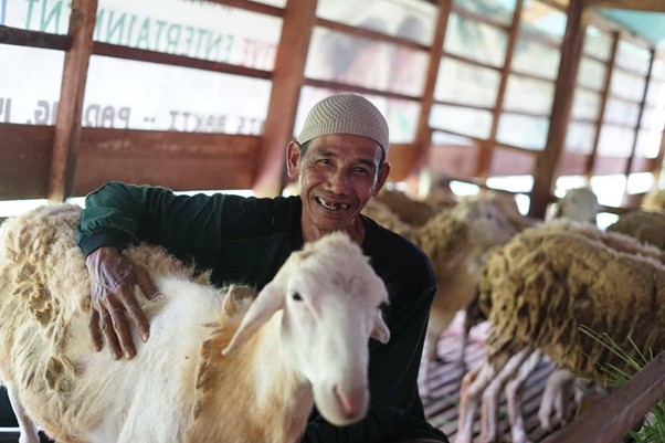 ali akbar peternak lokal kurban dari sumbar1 dompet dhuafa Ali Akbar (58), peternak di sentra peternakan DD Farm Rumah Gadang yang diolah oleh Dompet Dhuafa Singgalang.