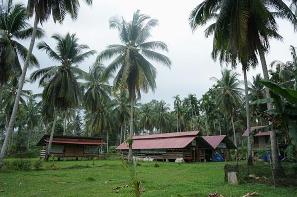 ali akbar peternak lokal kurban dari sumbar3 dompet dhuafa Kandang DD Farm Rumah Gadang yang diolah oleh Ali Akbar dan ketiga anak buah kandang lainnya.