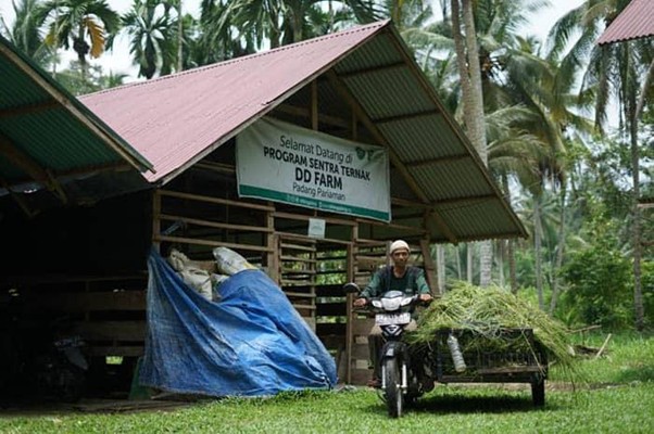 aliakbarpeternaklokalkurbandarisumbar5 dompet dhuafa